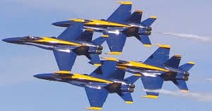 Blue Angels Cruises & Dolphin Tour | Boat Tour in Gulf Breeze, Florida