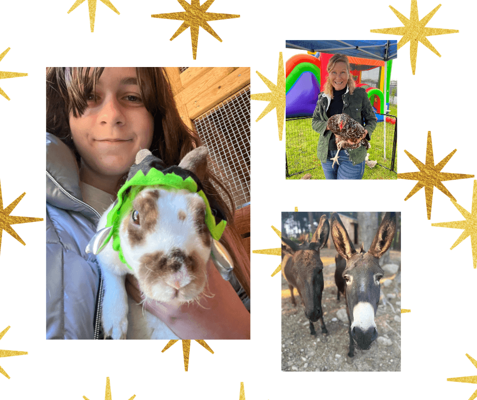 Wildlife Education & Rescue at Little Patch of Heaven Sanctuary