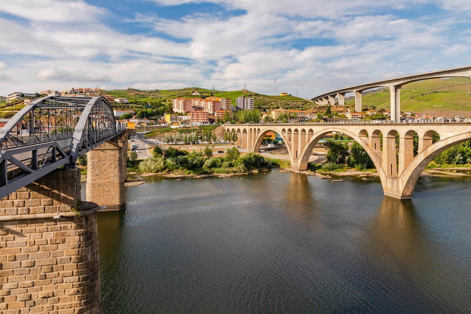 Full-Day Douro Cruise from Ribadouro to Régua: Invictus River Experience photo 1