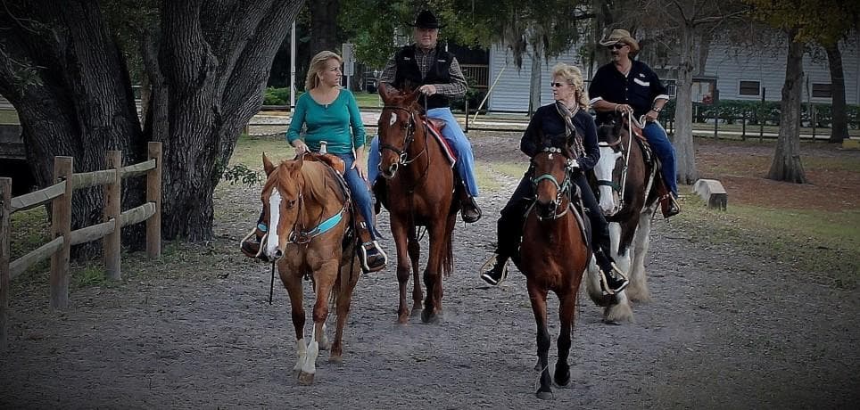 Horseback Trail Riding Tour in Pinellas Park, Florida