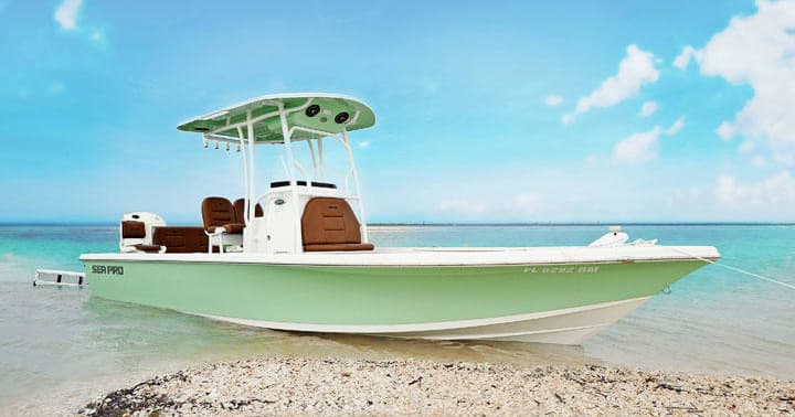 Keewaydin Shelling Tour by Treasure Seekers Shell Tours