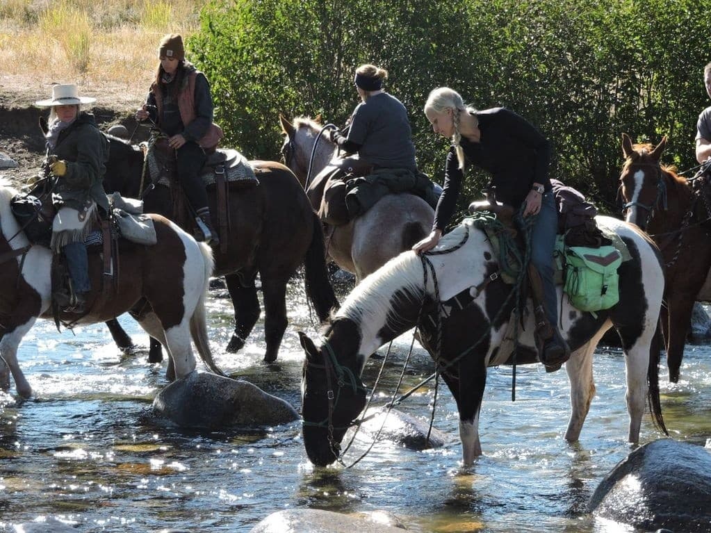 Horseback Ride to Electric Peak: Two-Hour Ranch Ride Near Yellowstone