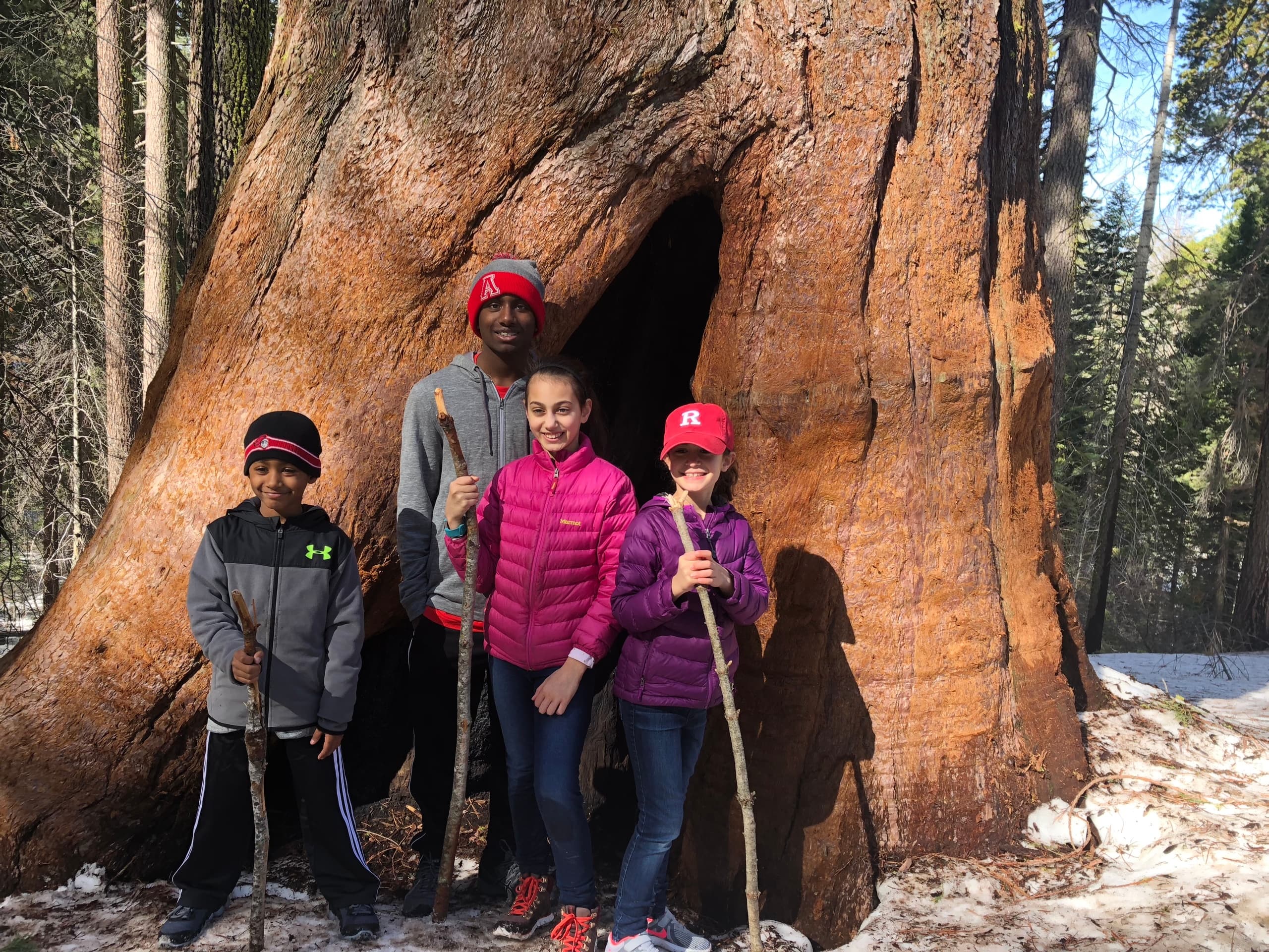Big Trees Hike & Riverside Cookout in Groveland, CA