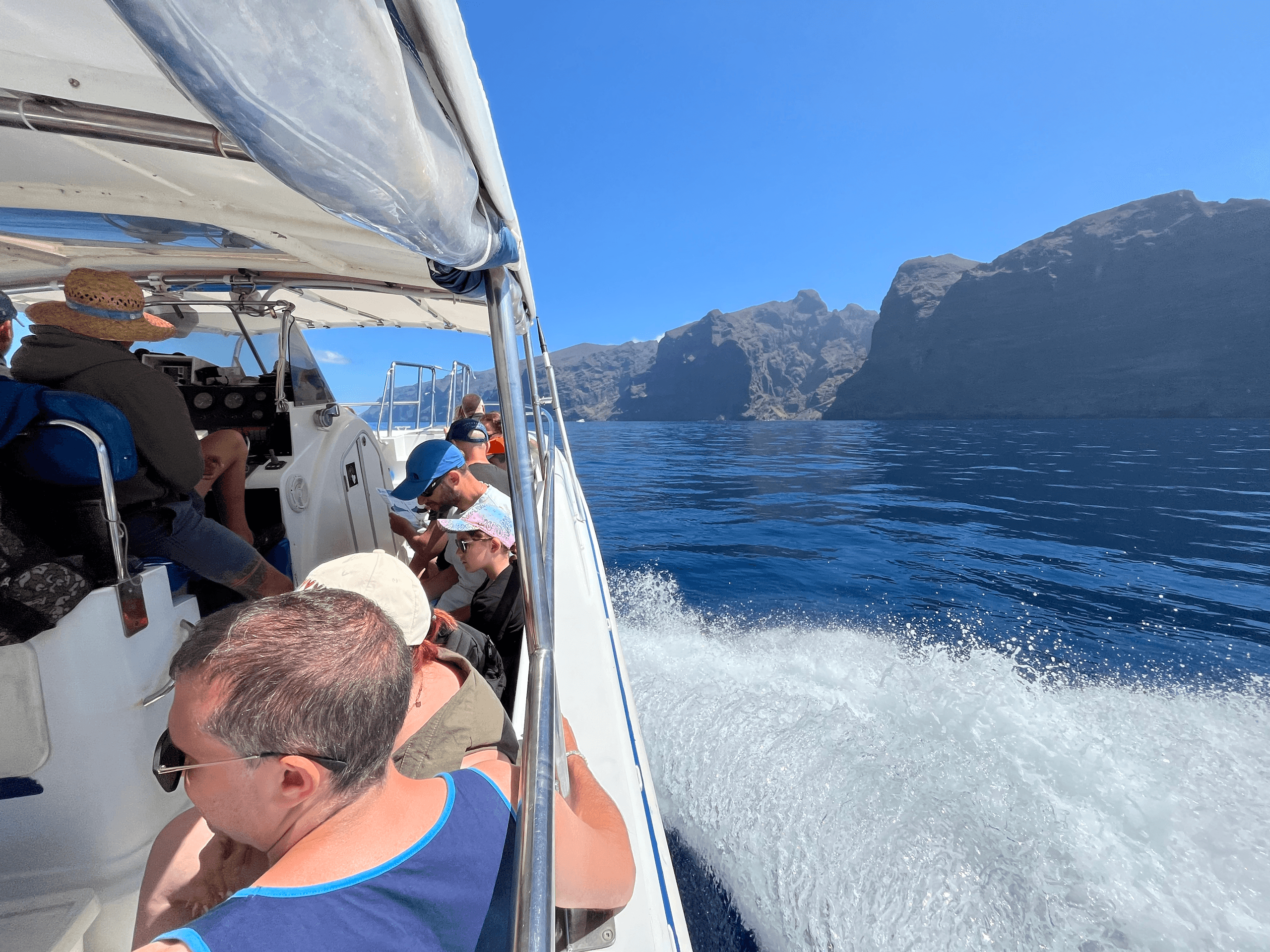 Masca Gorge Hike and Whale-Watch Boat Return from Santiago del Teide