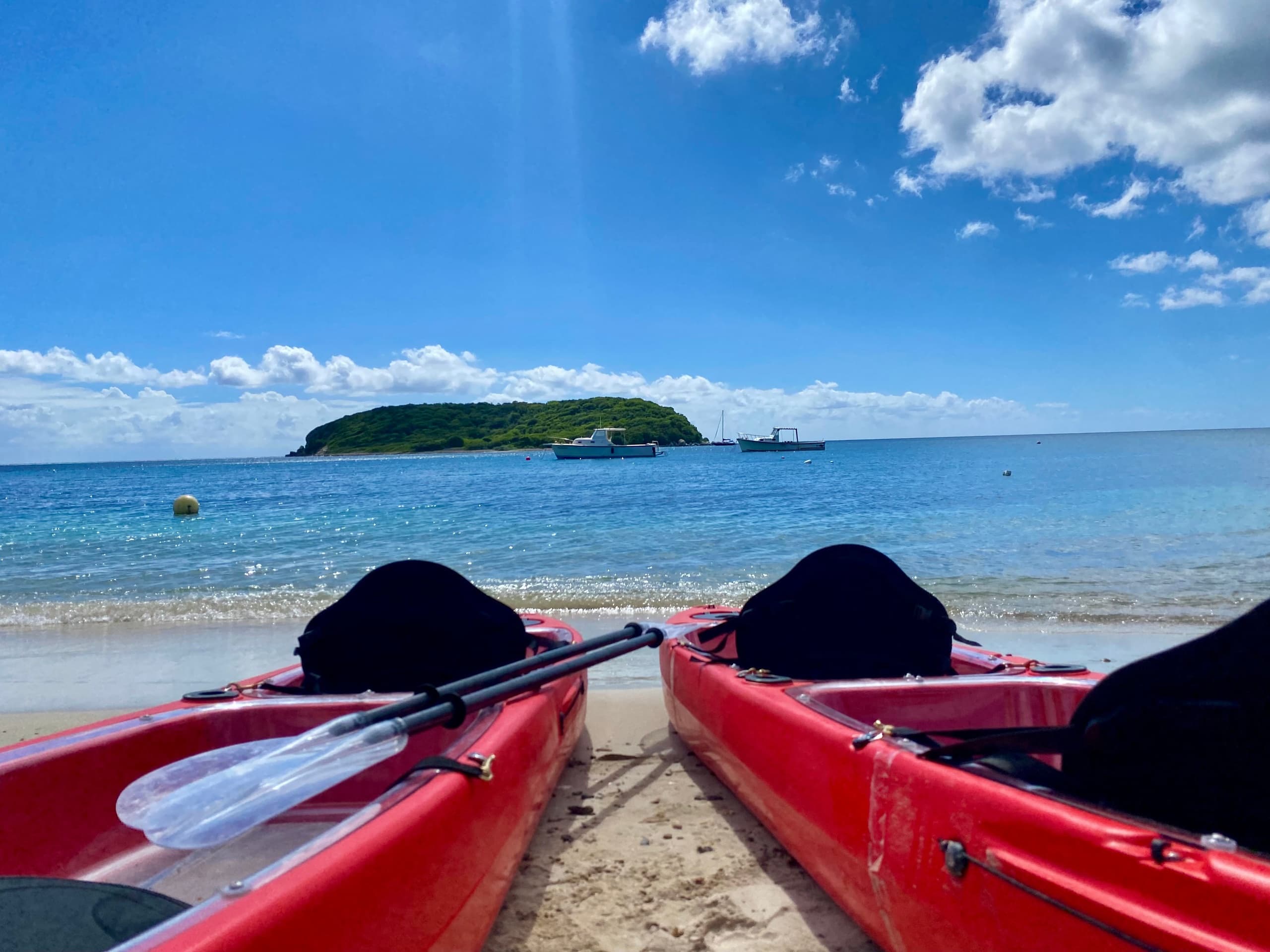 Clear-Bottom Kayaking & Snorkel with Mosquito Bio Bay Tours
