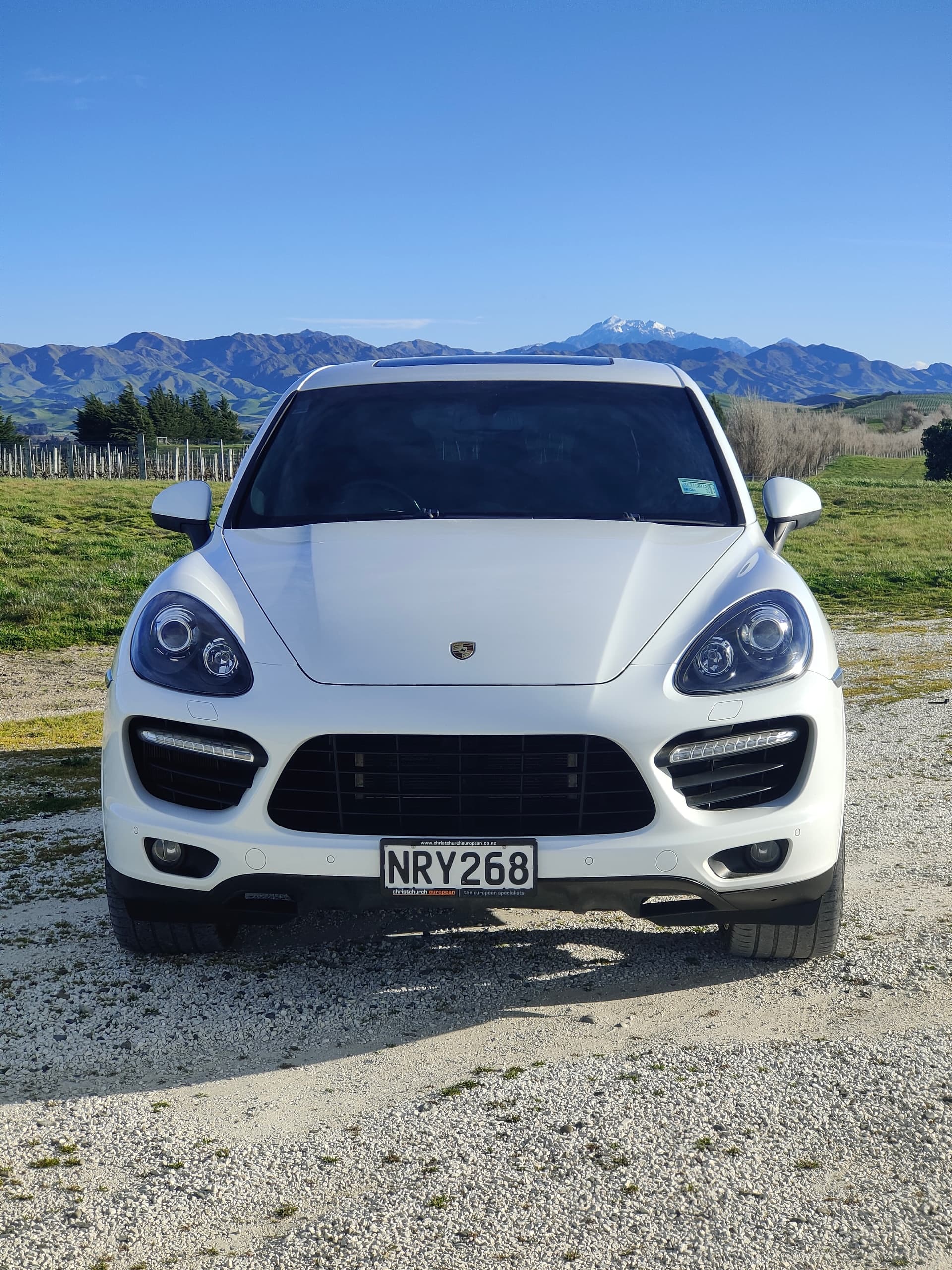 Porsche Cayenne S Rental in Marlborough: Self-Drive Luxury Through Vineyards & Coast photo 1
