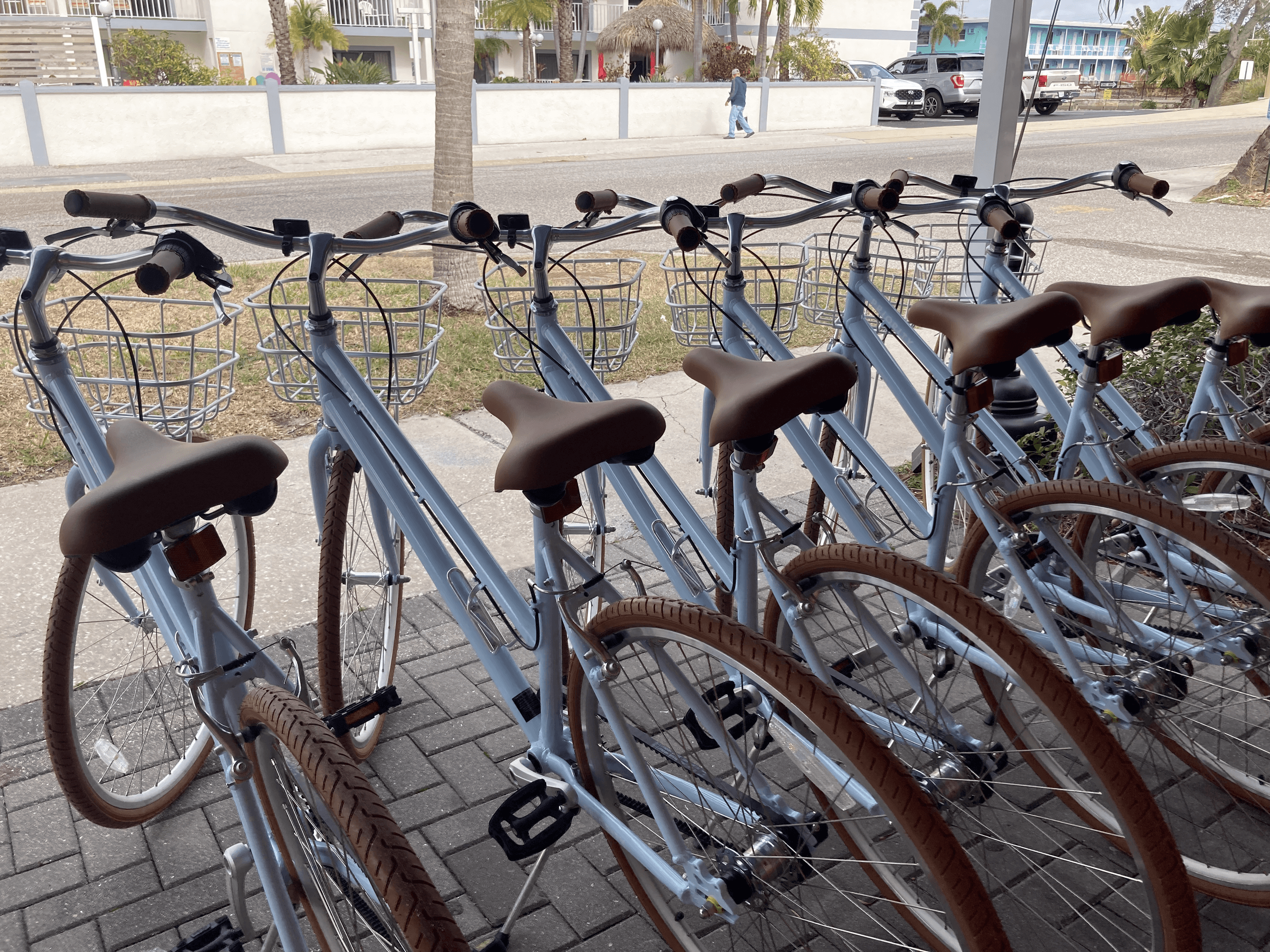 Bike Adventures at Sand Key with Mad Beach Paddlesports