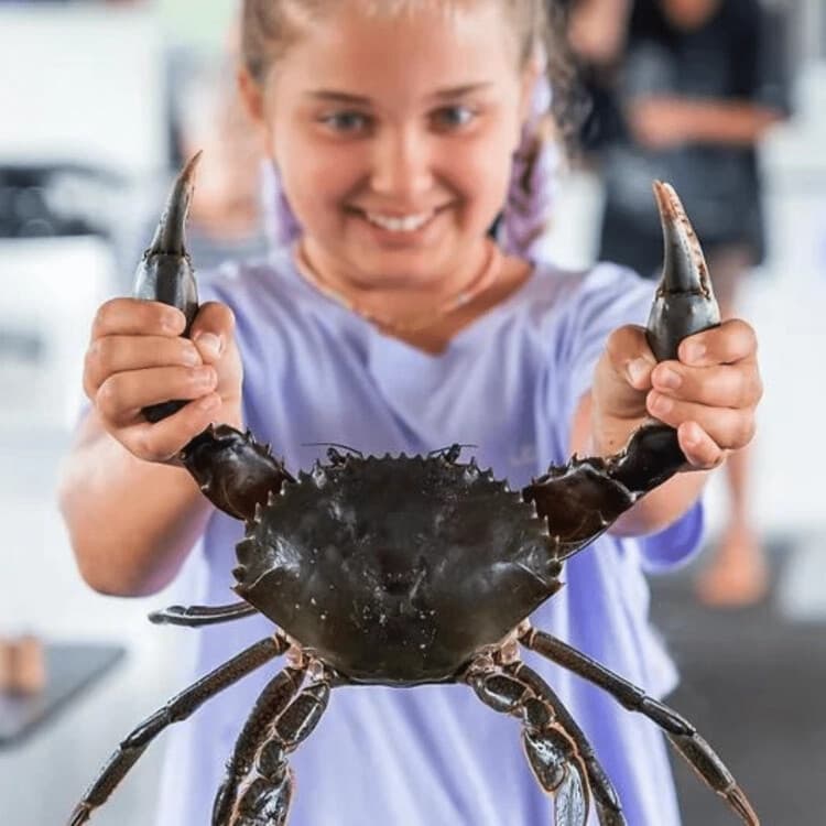 Tweed River Crab & Fishing Cruise — Hands-On Crab Hauls and Pelican Feeds
