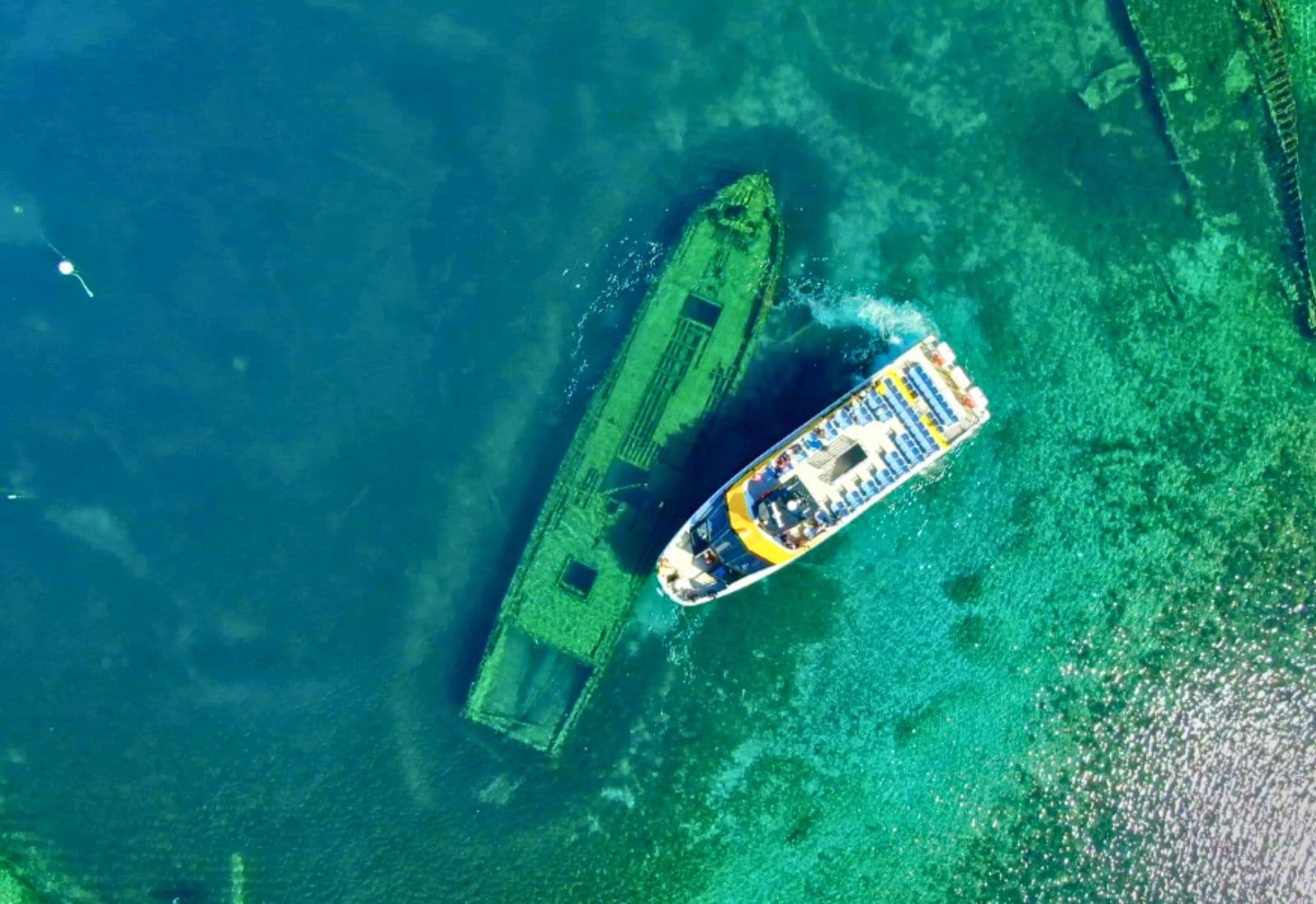 Outdoor Adventure & Scenic Tour: Tobermory Bus Trip from Toronto