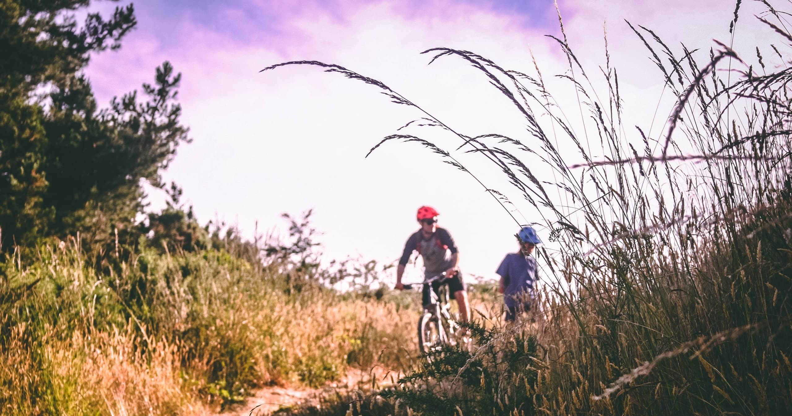 Two cyclists riding a sunlit grassy trail through wild meadow