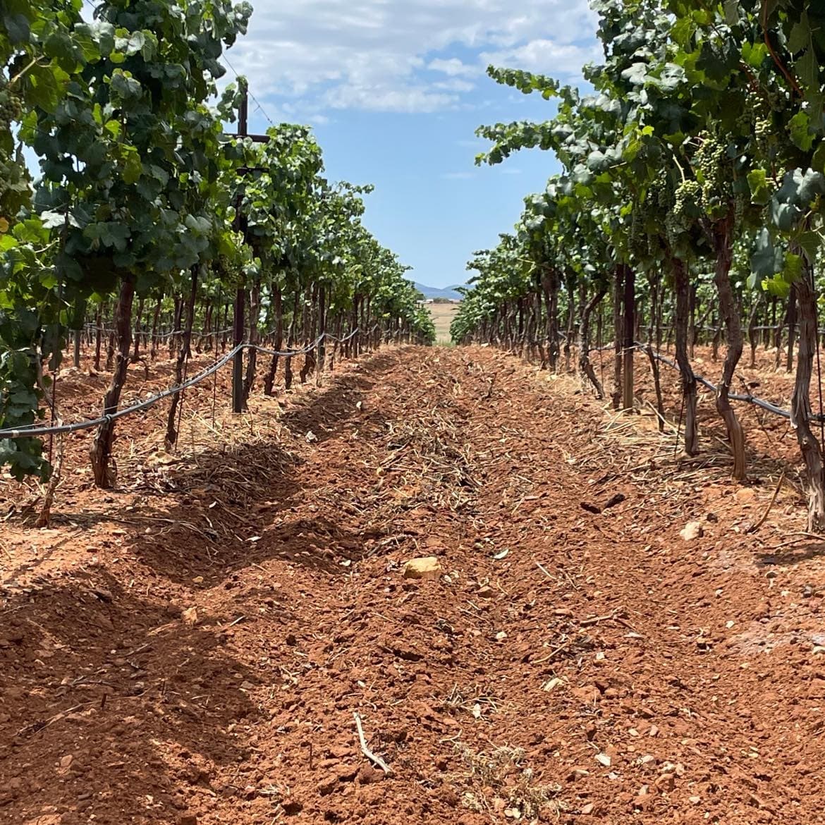 AZ Winery Tours team
