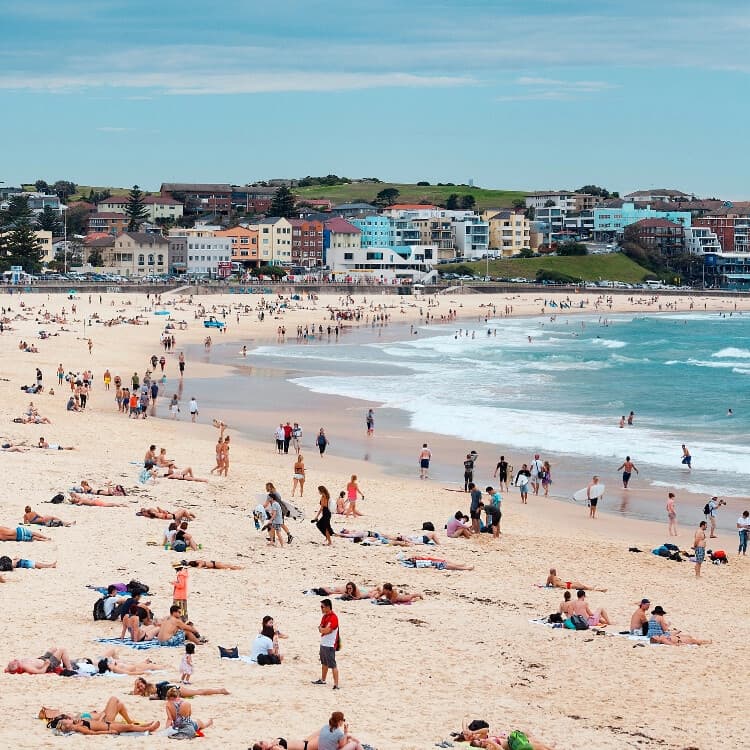 Sydney Airport Pickup and Eastern Coastal Morning Tour to Bondi and The Gap