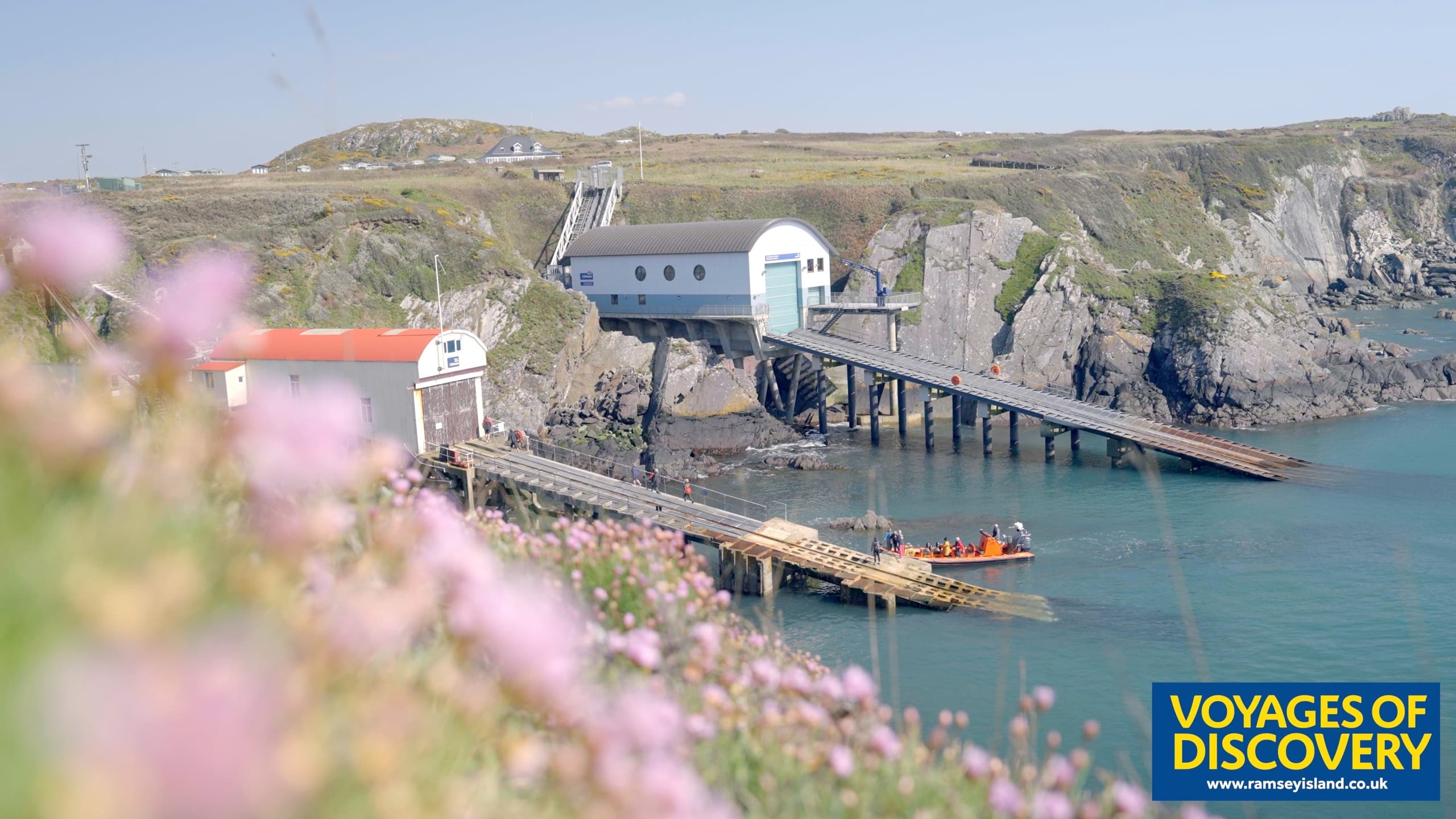 Ramsey Island Voyage Wildlife Tour by Voyages Of Discovery