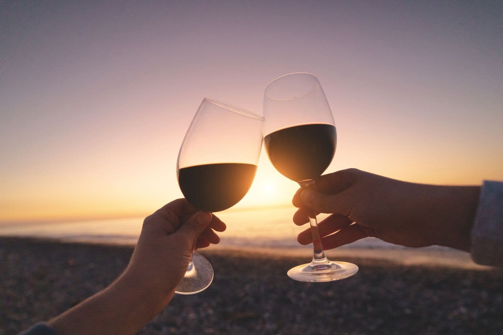Land Adventures with Kiwi Connect: Scenic Wine & Dine Tour