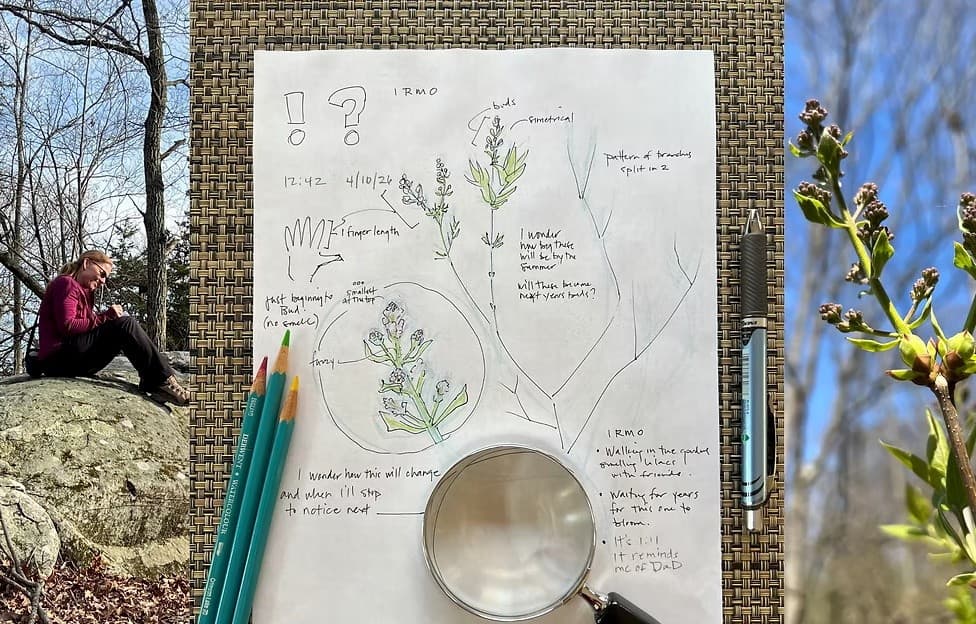 Family Nature Journaling at River Hook Preserve — June 13 ART Day