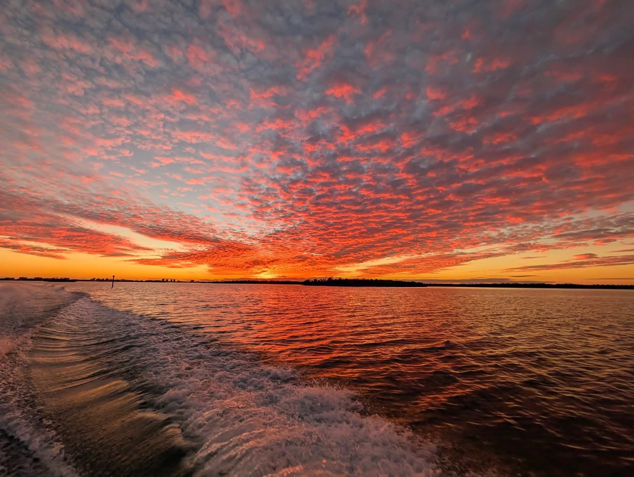 Private Sunset Cruise Fort Myers Beach: Dolphin-Watching & Mangrove Sunsets photo 3