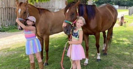 Children grooming horses at sunny ranch pasture with wooden fence