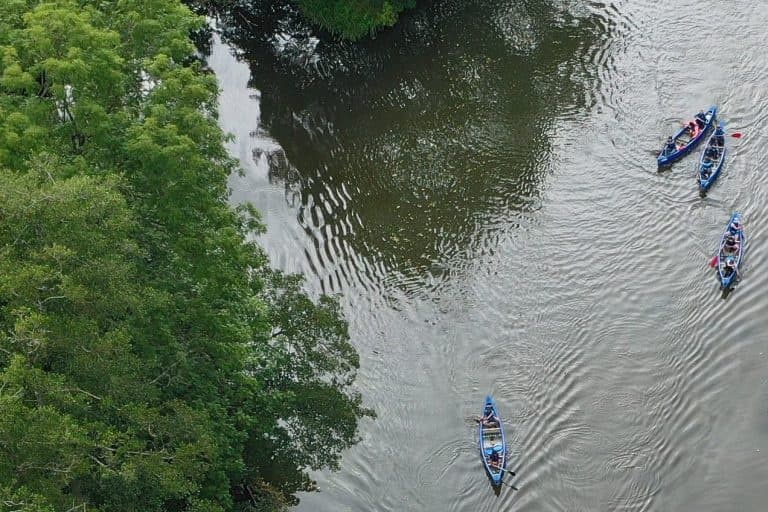 Paddle the Altmühl: Treuchtlingen to Pappenheim Historic River Tour