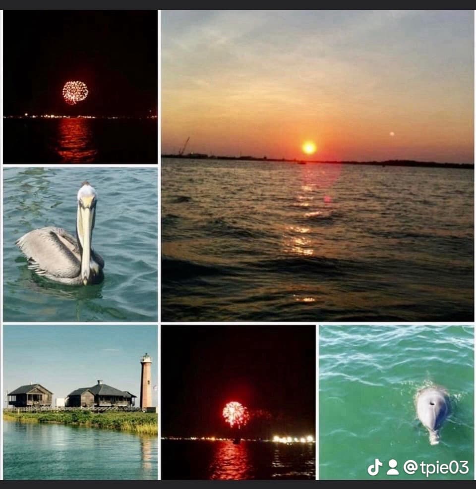 Sunset, pelicans and fireworks collage showing coastal scenes