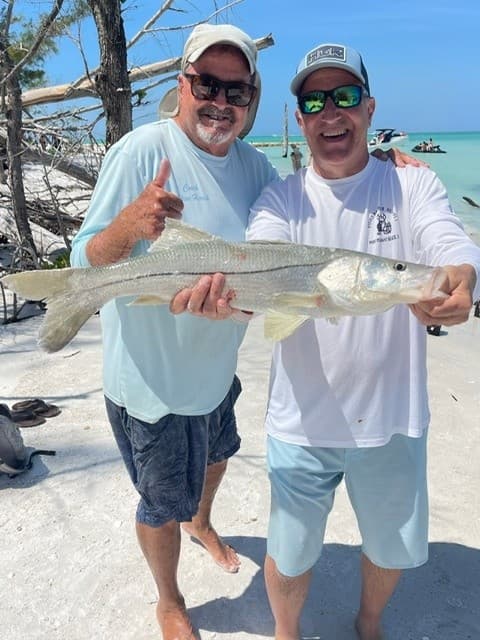 Shore Snook in Sarasota: Guided Beach Fishing Without a Boat