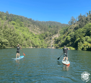 Two stand-up paddleboarders gliding on a forested river