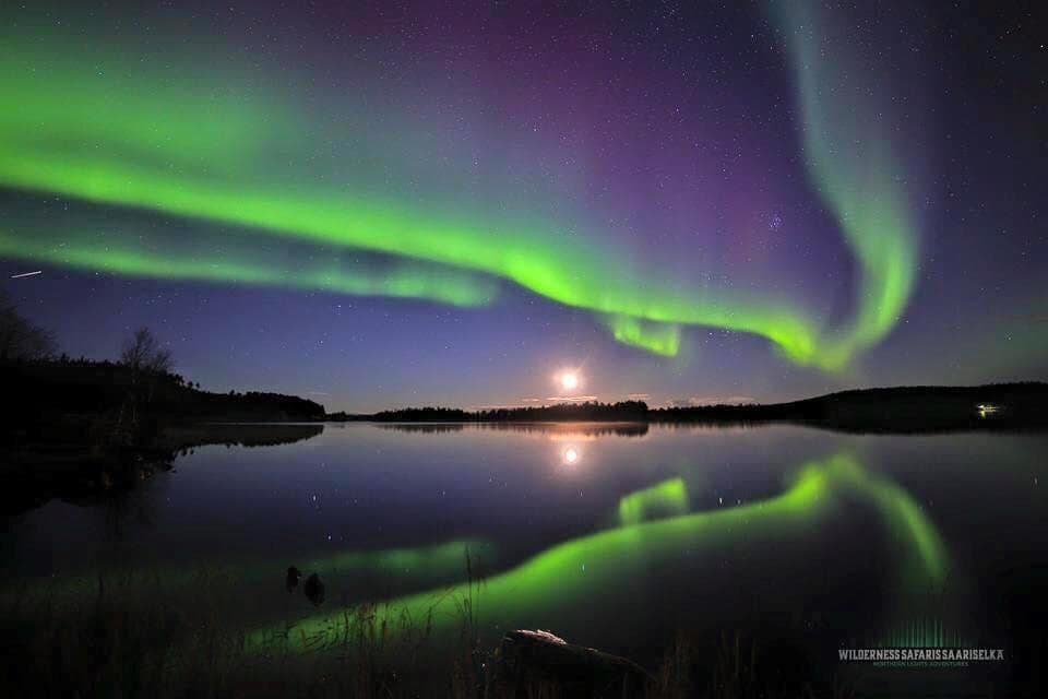 Northern Lights Car Tour with Wilderness Hotel - Muotka