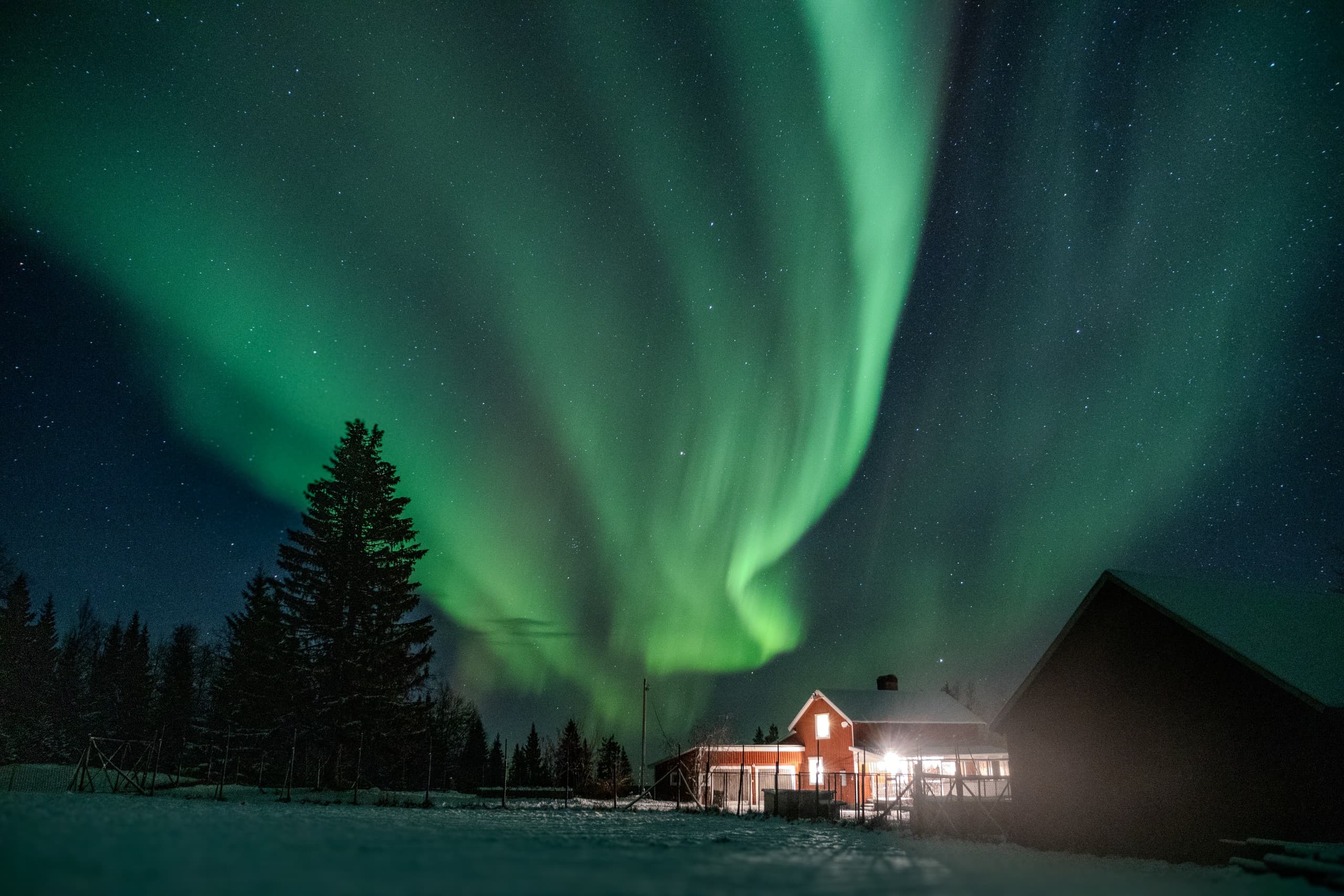 Lapland New Year: Husky Sledding & Northern Lights in Rentjärn