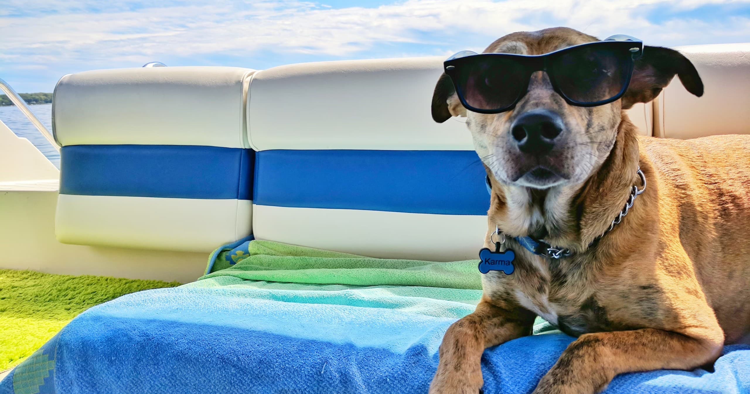 Dog wearing sunglasses relaxing on boat deck on sunny lake excursion