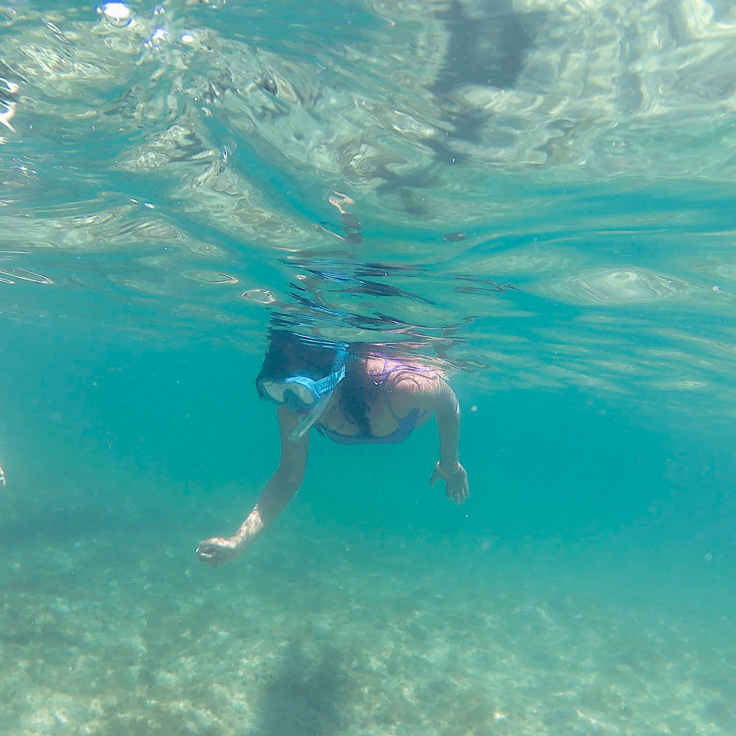 Water Activities: Torre Guaceto Snorkeling Adventure