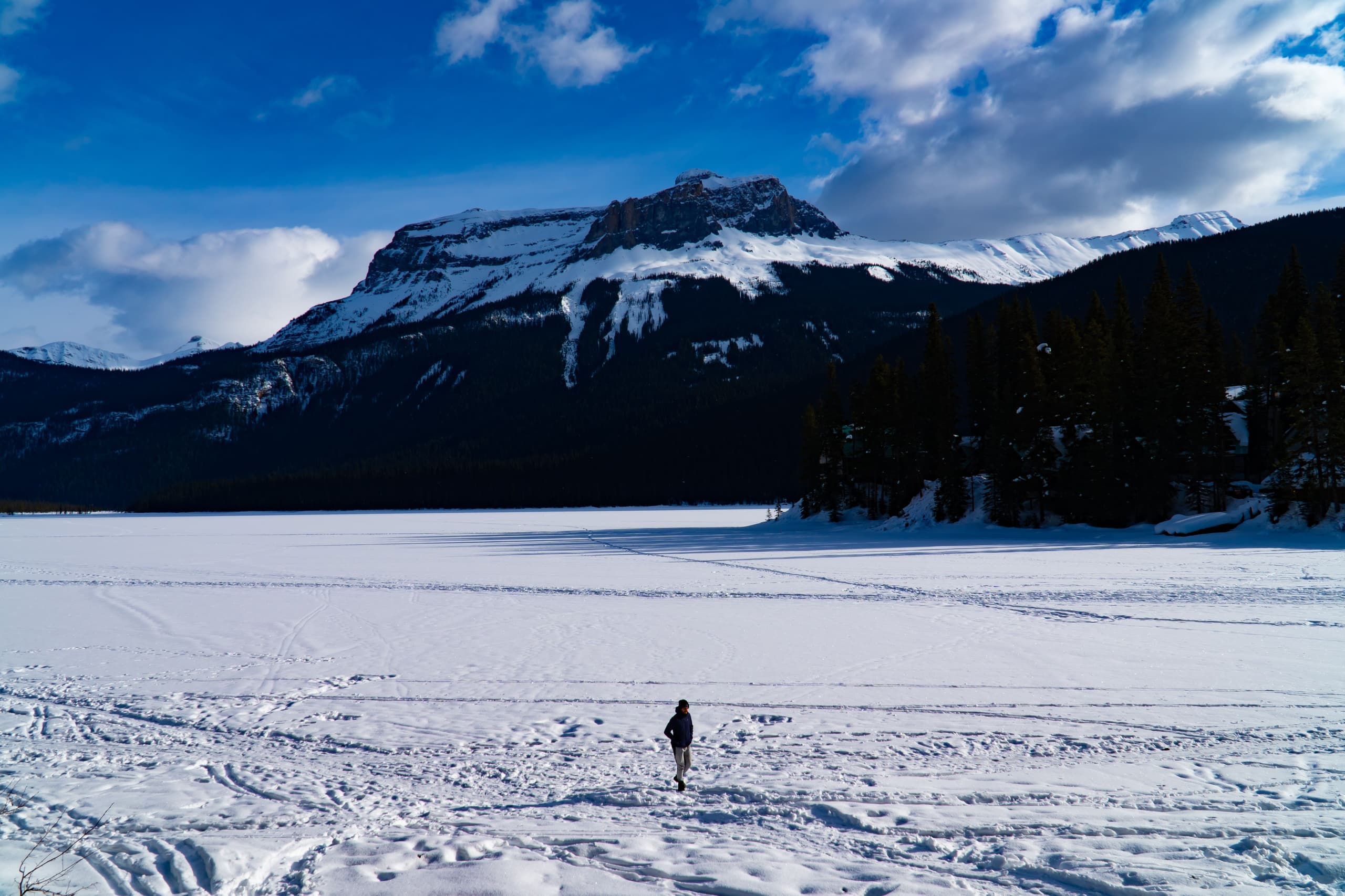 Hidden Frozen Gems of Yoho & Kootenay: Winter Day Tour from Banff photo 4