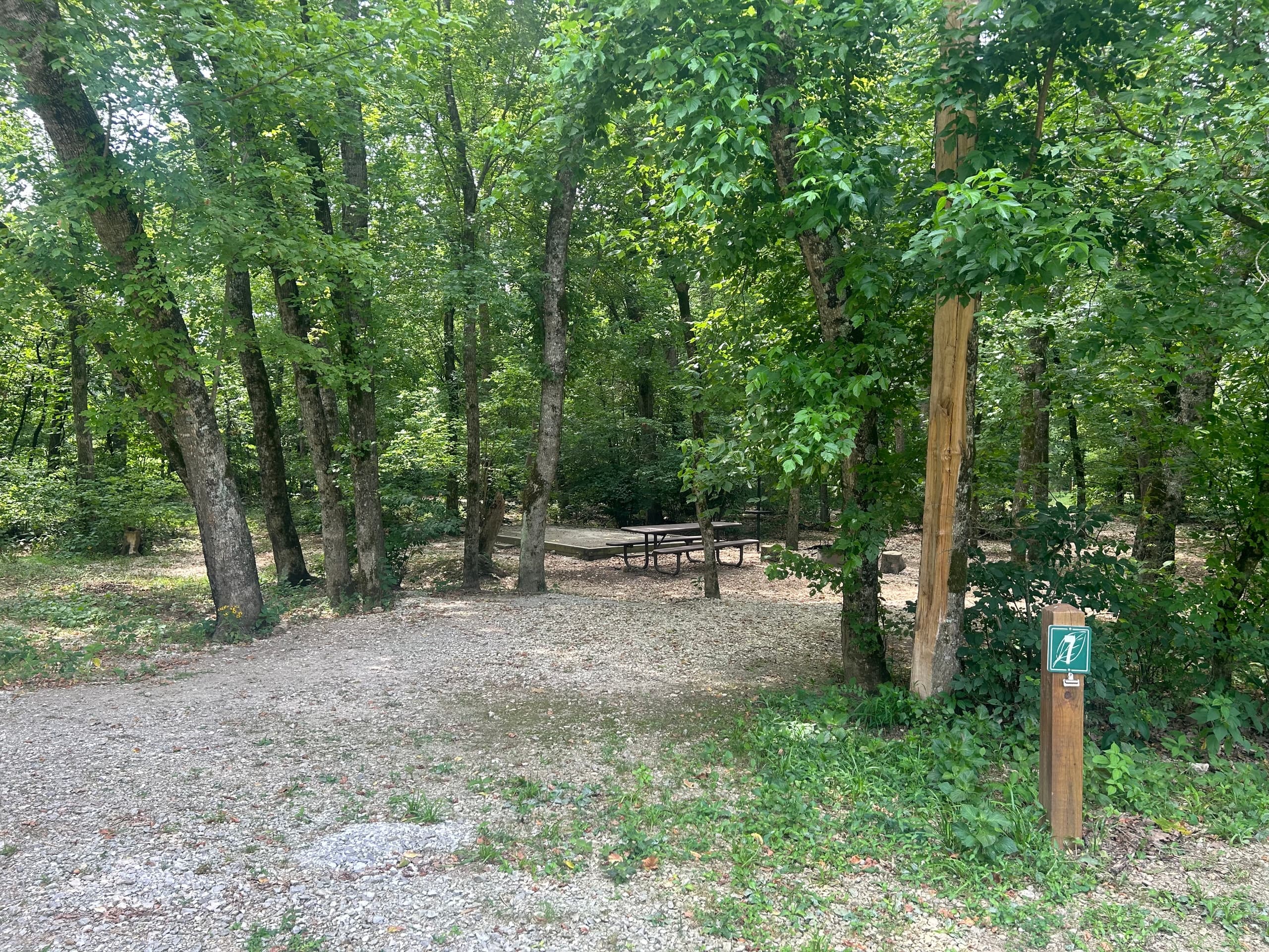 Primitive Campsites at Eureka Springs Parks & Recreation in Arkansas
