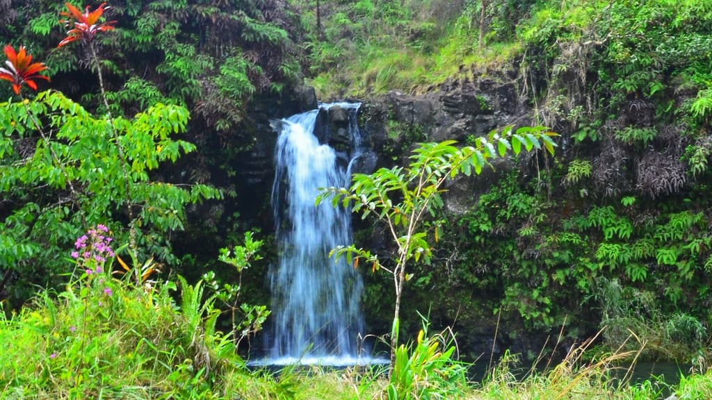 Lush tropical waterfall surrounded by dense green rainforest
