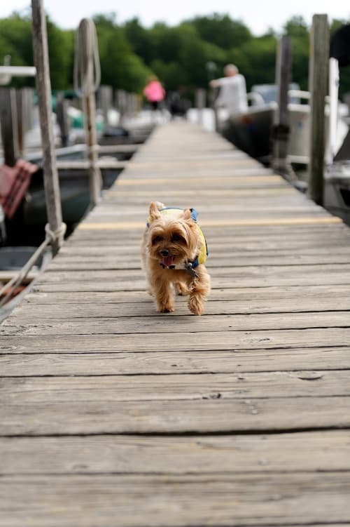 Explore Meredith, NH with a 21-Day Boat Rental Adventure