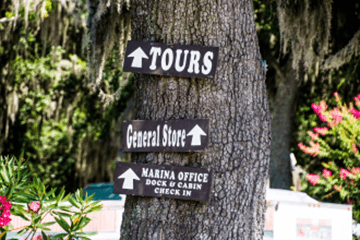 Exploring Historic Daufuskie Island: Morning Ferry Adventure from Hilton Head photo 1