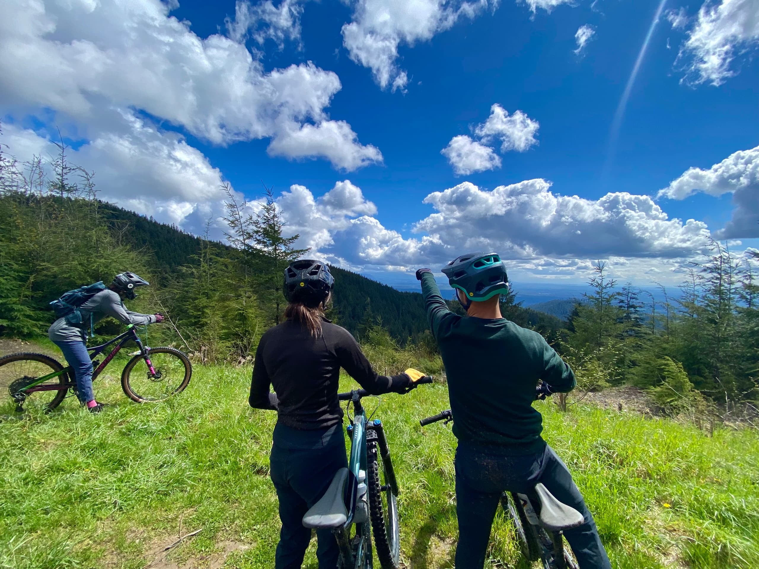 Seattle Mountain Bike Tours fleet