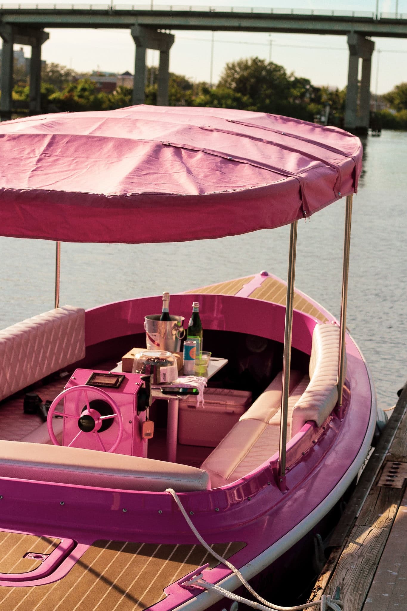 Pink leisure boat docked for private river cruise experience