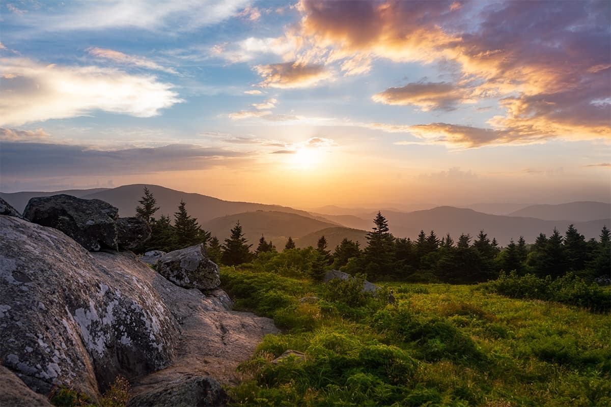 WNC Photo Tours fleet