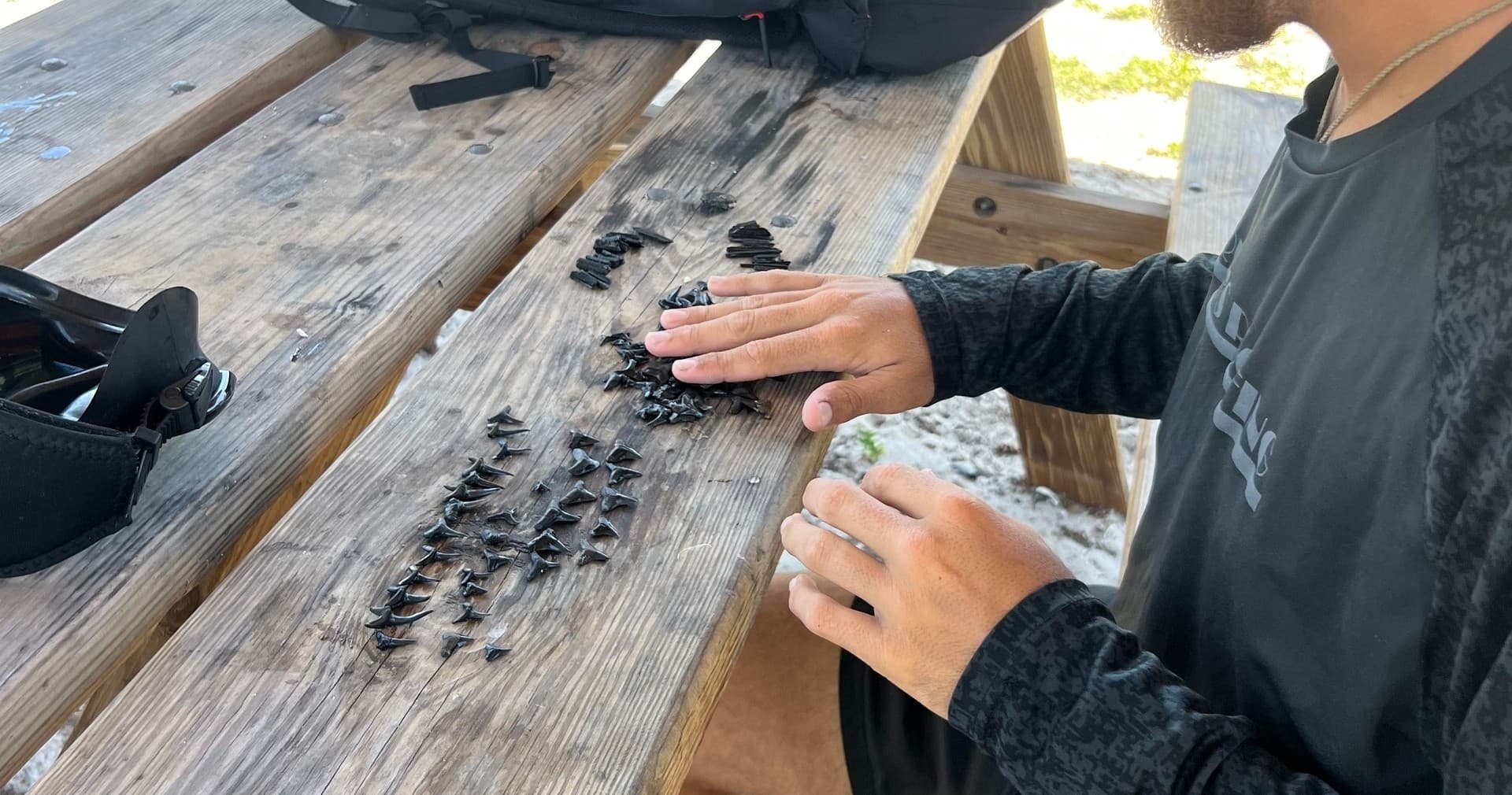 Water-Activities & Mac's Sports: Shark Tooth Diving at Venice Beach