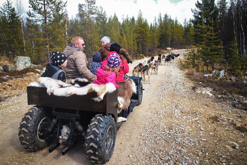 Wagon Ride & Husky Sled Adventure at Extreme Huskysafaris Oy
