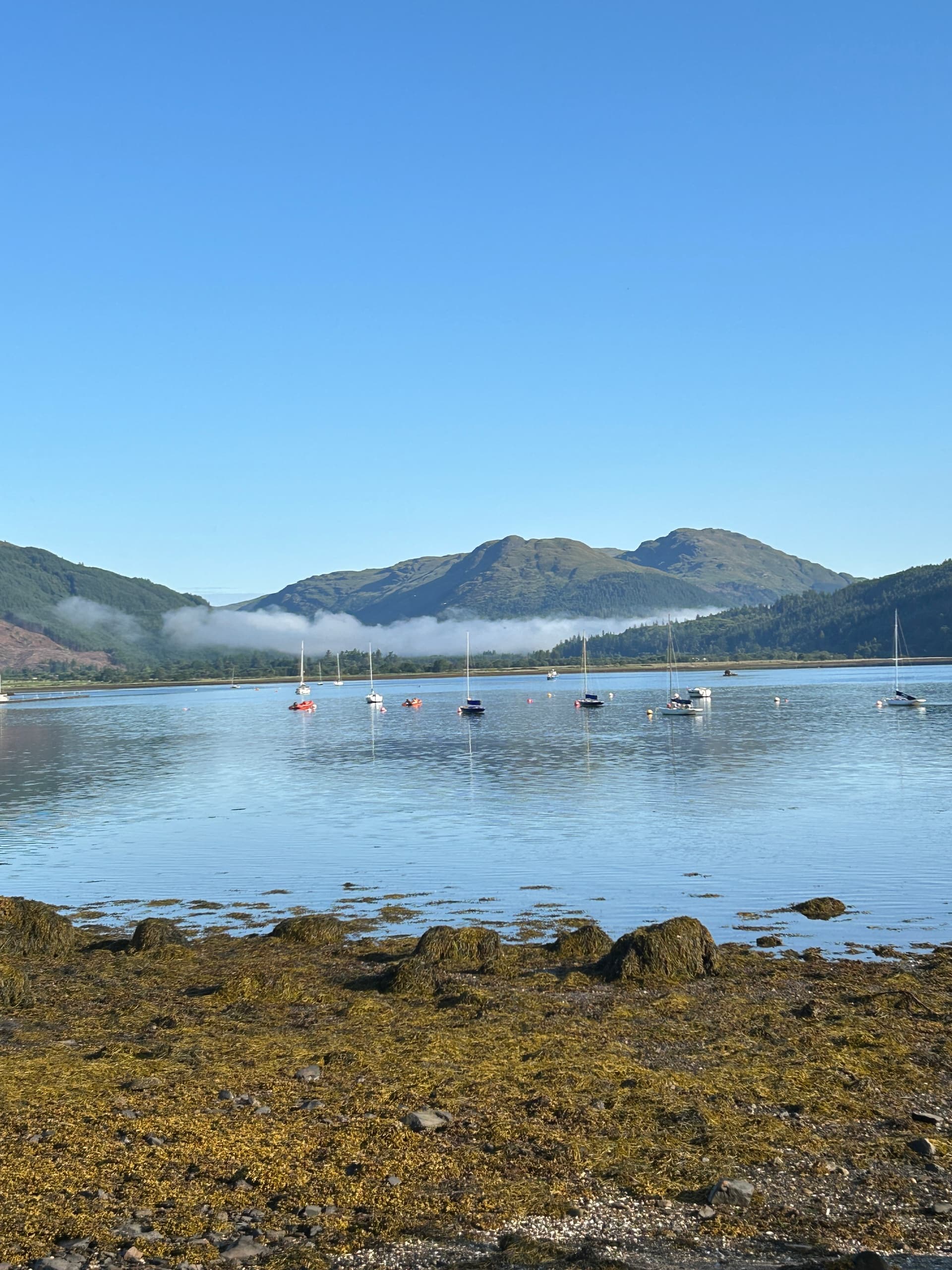 Bealach Maim, Loch Fyne & Loch Eck: Cowal Peninsula Epic Road Ride from Dunoon photo 3
