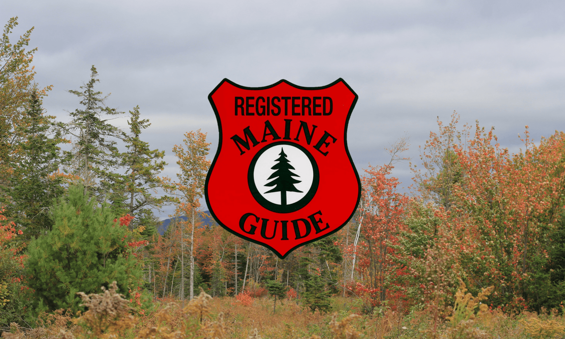 Land Adventures with Alice's Awesome Adventures in Maine
