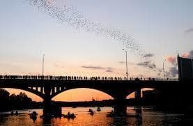 Wildlife Nature & Kayaking with Lone Star Kayak Tours