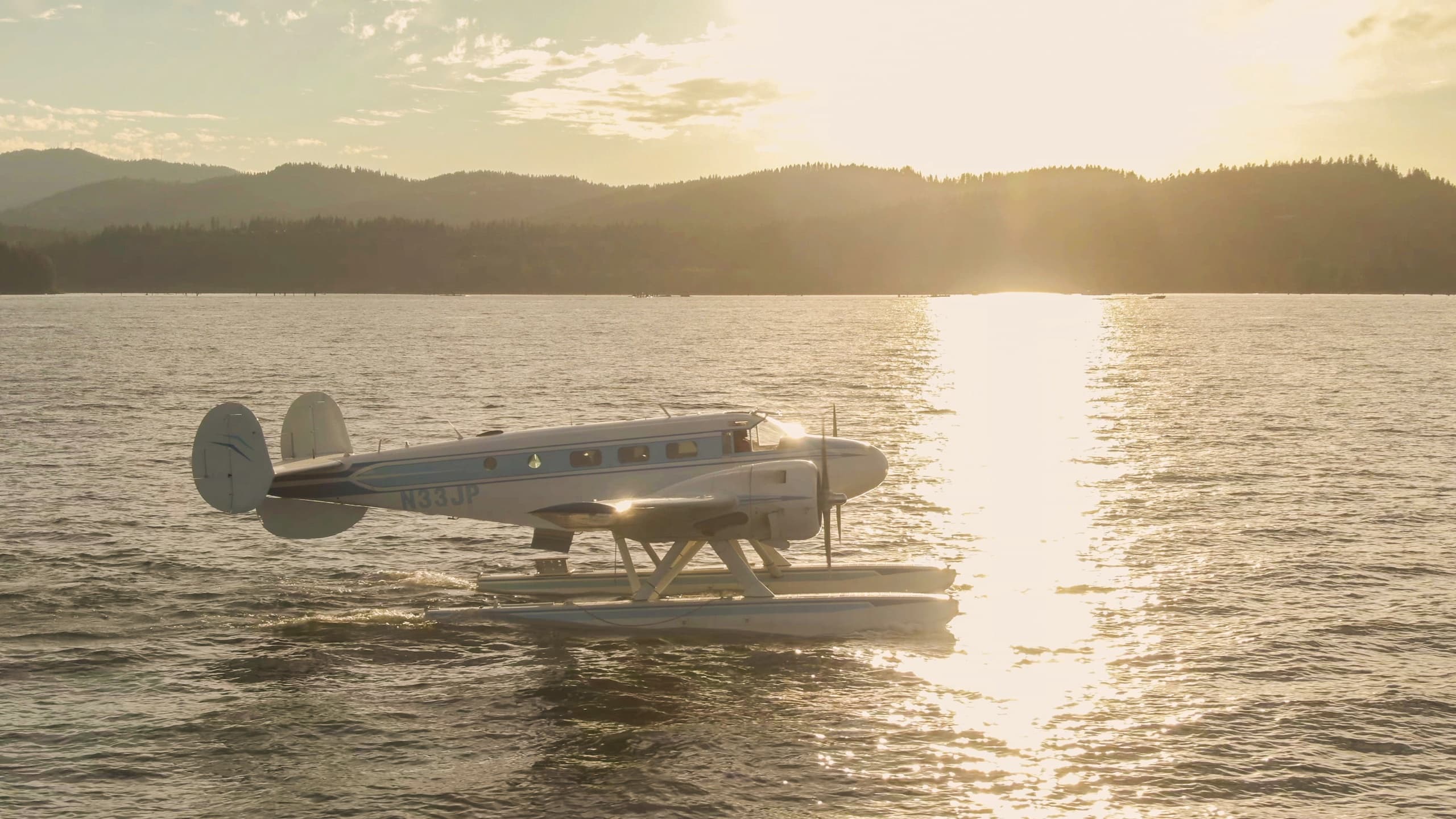 Brooke's Seaplane Service fleet