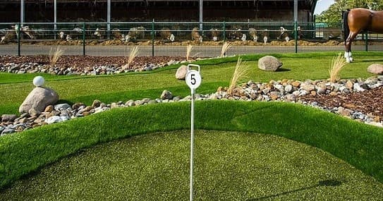 Outdoor Family Fun at Gut Darß Minigolf