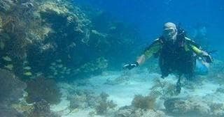 Night Diving Adventure with Finz Dive Charters in Key West