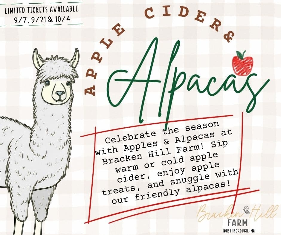 Apple Cider & Alpacas at Bracken Hill Farm, Northborough