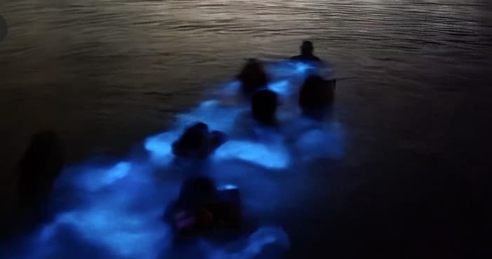 Private Bioluminescent Bay Swim in La Parguera — Night Boat Charter in Lajas, Puerto Rico