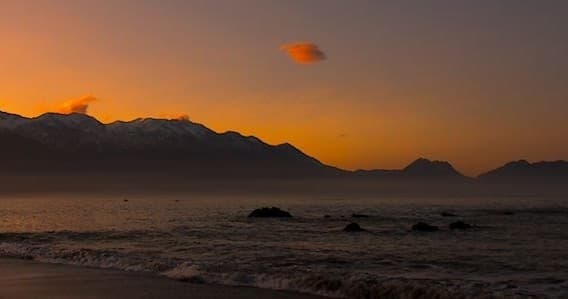 Wildlife & Scenery: Kaikoura Plus with Koru Scenic Tours