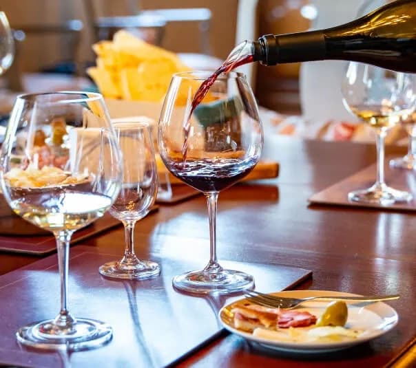 Douro Terrace Tapas & Wine Tasting at Quinta das Carvalhas