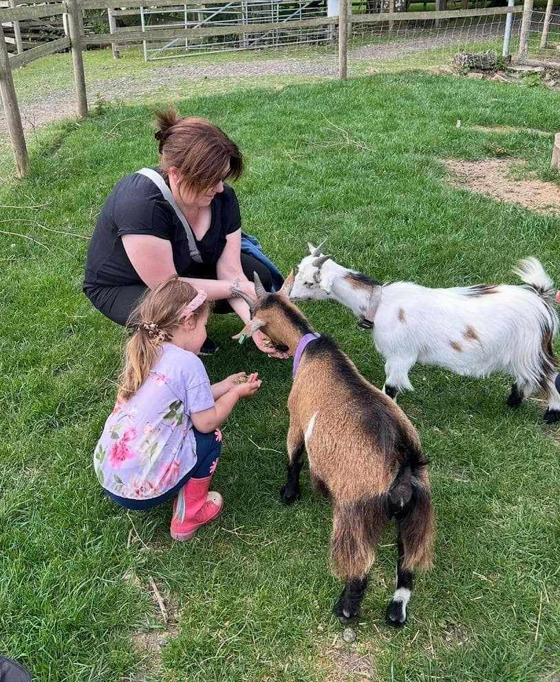 Meet Alpacas and Goats at Wattisham Farm — Hands-On Fleece & Cafe Visit photo 2